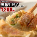 ネット限定 野菜餃子 150個 (50個入×3袋) ／ 送料込み (沖縄別途送料） 《 レンジ 調理可能 》 「2分でギョーザ！(600W5個2分)」 あっさりした 野菜餃子 は女性に大人気 [ にんにく 不使用 ] あす楽 餃子 ぎょうざ ギョウザ 餃子工房RON みまつ食品