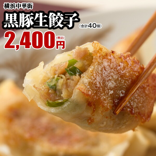 【最大250円OFFクーポンあり】皇朝 黒豚生餃子 お取り寄せ 食品 グルメ 餃子 冷凍 横浜中華街 お土産 中華点心 中華惣菜 おかず 黒豚生餃子 20個入×2箱