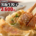 皇朝 黒豚生餃子 お取り寄せ 食品 グルメ 餃子 冷凍 横浜中華街 お土産 中華点心 中華惣菜 おかず 黒豚生餃子 20個入×3箱