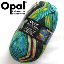 【100g巻】Opal(オパール) 毛糸 Hundertwasser (フンデルトヴァッサー) 1432番色 Der Blaue Mond