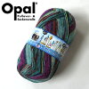 【100g巻】Opal（オパール）毛糸CrazyWaters（クレイジーウォーターズ）4ply11310番色
