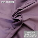 【30cm(個数3)から】綿100% エイティ 生地 110cm幅 10cm単位切り売り 756番