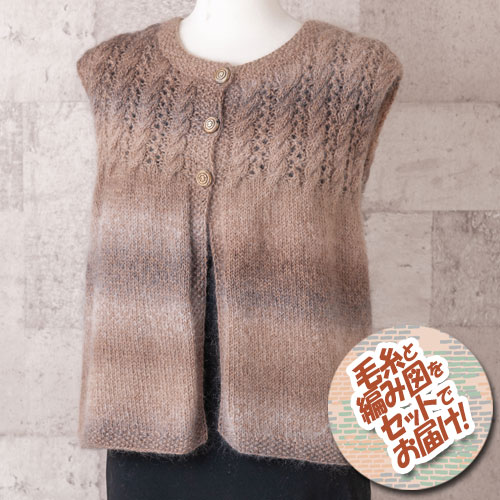 リッチモア　バカラエポックで編むベスト　着分セット（バカラエポック8玉・編み図）