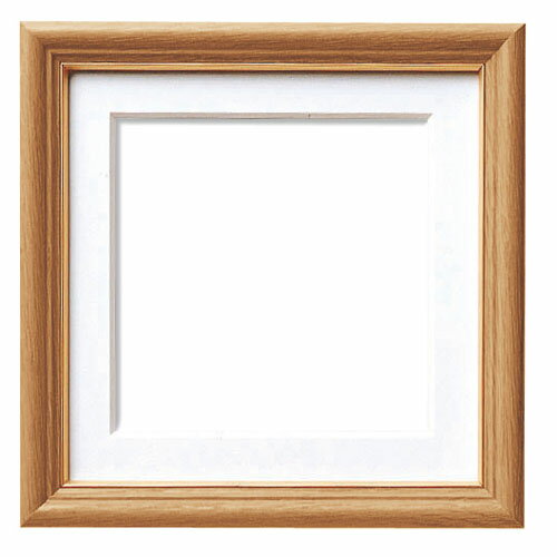 オリムパス額　W-29N