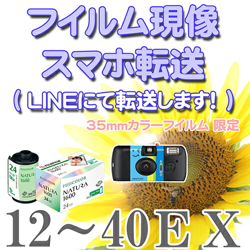 【メール便に限り送料無料：追跡可能メール便は対象外です】カラーフイルム現像（フィルム現像・ネガ現像）【スマホ…