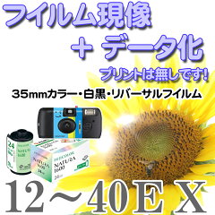 https://thumbnail.image.rakuten.co.jp/@0_mall/ko-e-1972/cabinet/04051966/imgrc0104906092.jpg