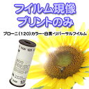 【メール便に限り送料無料:追跡可能メール便は対象外です】ブローニー(120フィルム)のカラー・白黒・リバーサルフイルム現像(フィルム現像・ネガ現像)【現像・プリント・インデックス付・データは無し】(220フイルムは2本分の価格になります)