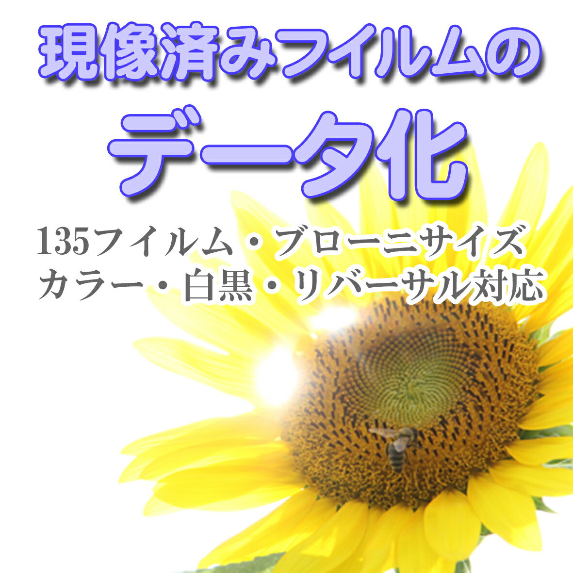 【2本以上のご注文でメール便に限り送料無料：追跡可能メール便は対象外です】現像済みのネガ（フイルム）をデータ（CD−R）に変換 デジ..