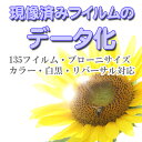 【2本以上のご注文でメール便に限り送料無料：追跡可能メール便は対象外です】現像済みのネガ（フイルム）をデータ（…