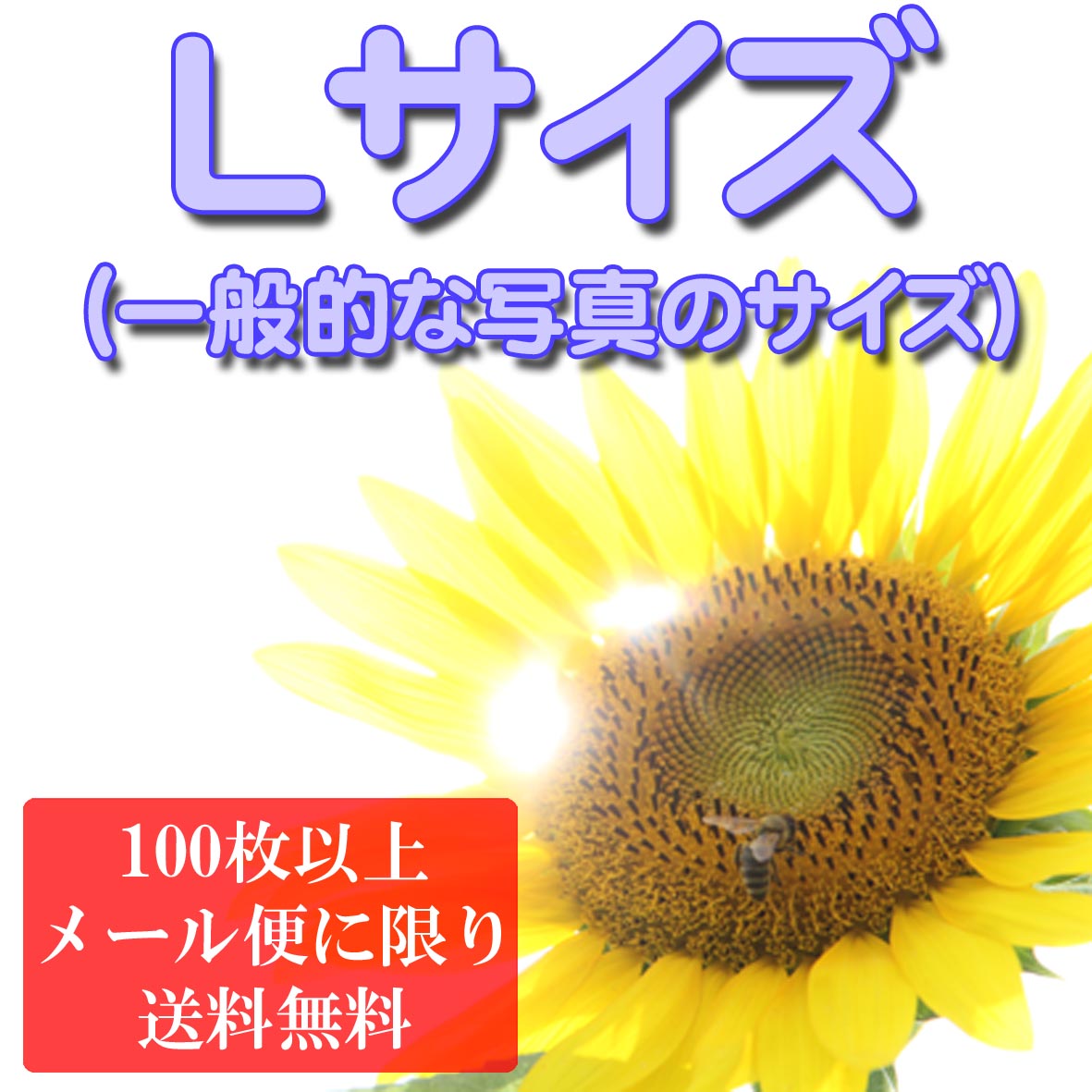 【 ネガプリント：Lサイズ 】ネガプリント 写真プリント （ こちらの商品は現像済みのネガからのプリントになります ）