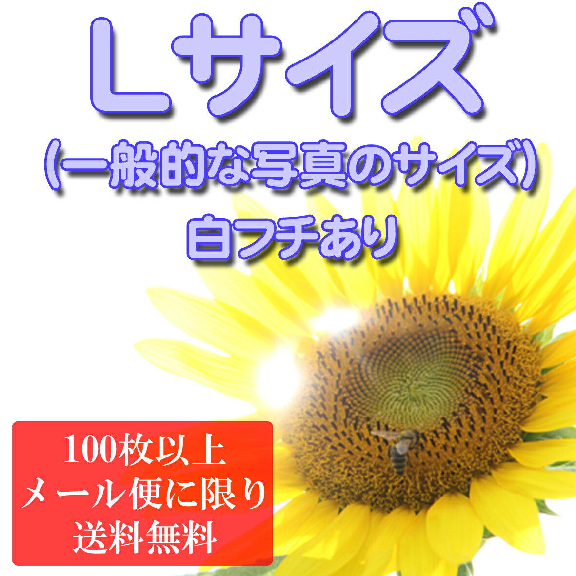 楽天思い出写真工房【 Lサイズ：白フチあり 】LINEプリント ネットプリント デジカメプリント デジタルプリント 写真 現像 プリント デジカメ写真 ネットプリント 写真 写真注文 デジカメ スマホプリント LINE ラインプリント （ アルバム かわいい スクラップ パーツ ）