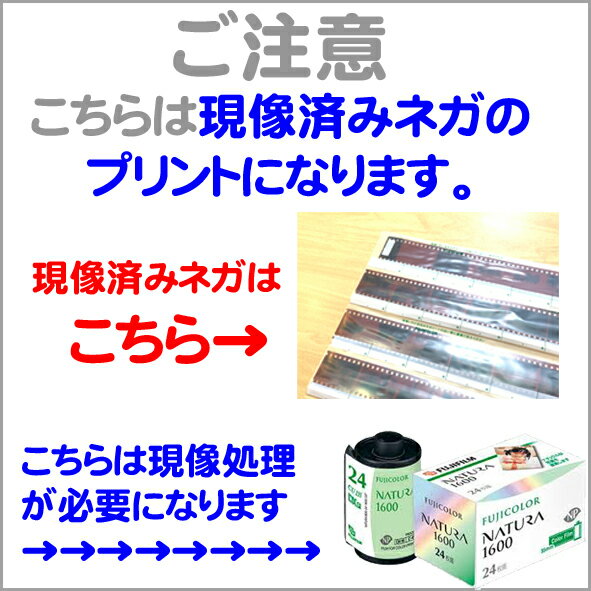 �� �ͥ��ץ��ȡ�L������ �ۥͥ��ץ��� �̿��ץ��� �� ������ξ��ʤϸ����ѤߤΥͥ�����Υץ��Ȥˤʤ�ޤ� ��