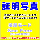 証明写真 サイズ自由（7×5cmまで） 4枚セット  証明 写真 履歴書 就活