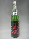 十四代 純米吟醸 日本酒 十四代 純米吟醸 酒未来 日本酒 1800ml 2023年詰 ギフト 贈り物 就職祝い