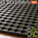 全面穴あきゴムシート 厚さ10mm(幅0.9M〜1.8M×長さ1M〜3.9M)【幅・長さ選択 可】芝生