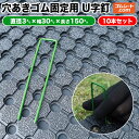 穴あきゴム固定用 U字釘 10本セット 直径3mm×幅30mm×長さ150mm程度 スチール製/緑