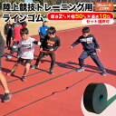陸上競技トレーニング用ラインゴム 厚さ2mm×幅50mm×長さ10M程度【1本・10本・50本 本数セット選択可】小学生から中学生の成長期における神経系の発達を...