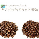 丘の上珈琲 コーヒー豆 キリマンジャロセット 500g (250gx2) 送料無料 レギュラーコーヒー シングルオリジン オリジナルブレンド 自社焙煎 専門店 こだわり 小分け可