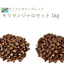丘の上珈琲 コーヒー豆 キリマンジャロセット 1kg (各500g)スペシャルティ ブレンド シングルオリジン レギュラーコーヒー 自社焙煎 専門店 こだわり ...