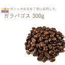 丘の上珈琲 オーガニック コーヒー豆 エクアドル ガラパゴス サンタクルス 300g シングル レギュラーコーヒー 自社焙煎 専門店 こだわり 生豆 小分け可 メール便