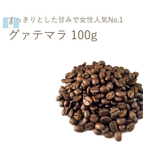 丘の上珈琲 オーガニック コーヒー豆 グアテマラ ウエウエテナンゴ 100g フェアトレードレギュラーコーヒー 自社焙煎 専門店 こだわり メール便