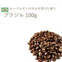 丘の上珈琲 コーヒー豆 ブラジル セーハ・ダス・トレス・バハス 100g スペシャリティー シングルオリジン レギュラーコーヒー 自社焙煎 専門店 こだわり 生豆 メール便 あす楽