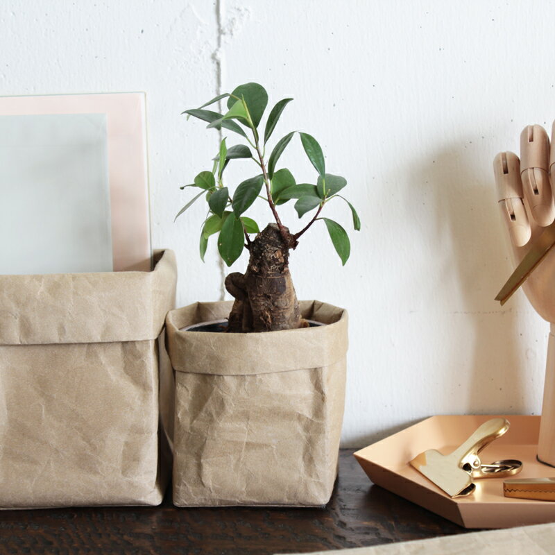 [シワ] ボックス（SIWA | 紙和）