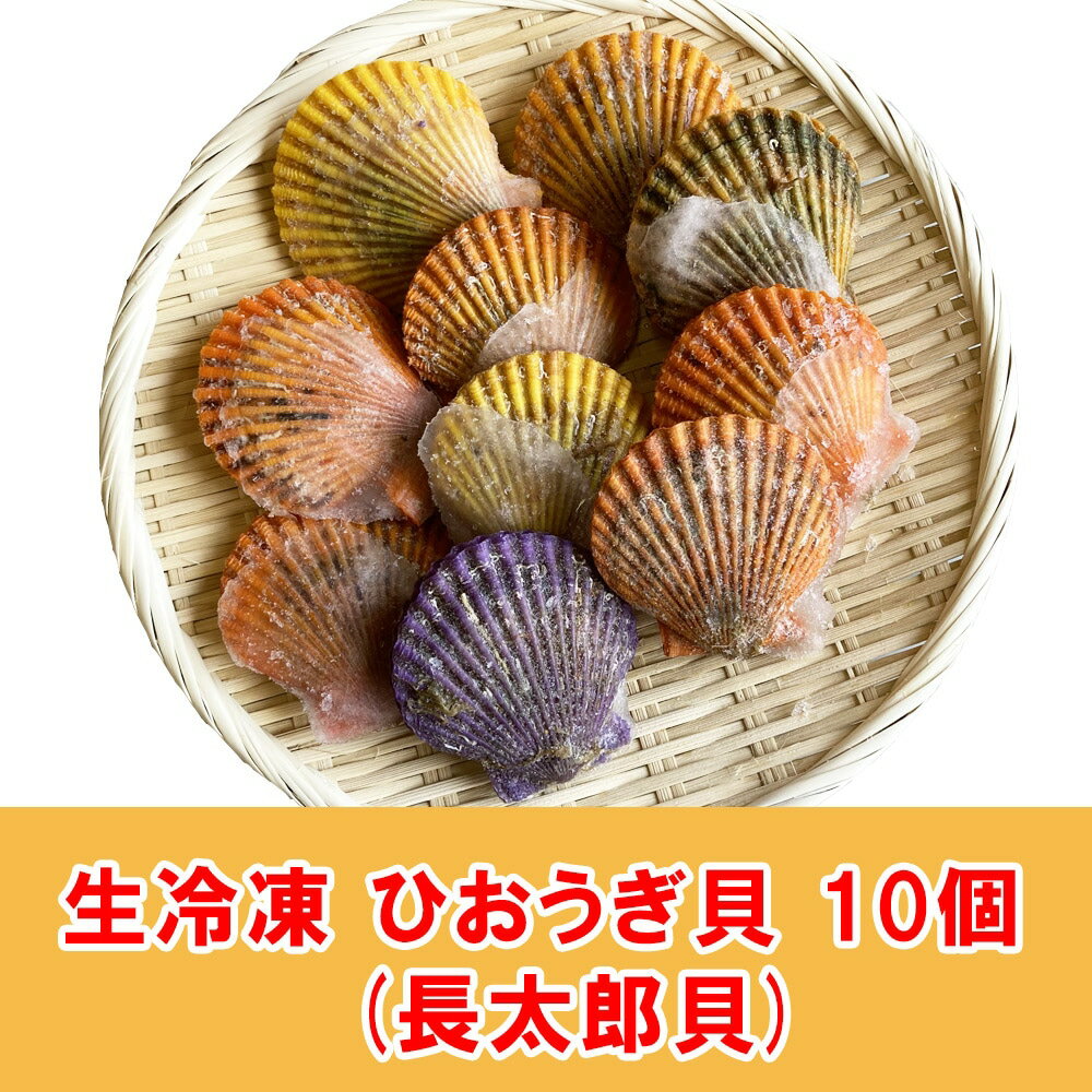 送料無料【ひおうぎ貝 10個】冷凍 キャンプ 調理 海鮮 バーベキュー キャンプ飯 長太郎貝 二枚貝 お取り寄せ グルメ ヒオウギ貝 ホタテの仲間 鍋 新鮮 濃厚 簡単 便利 買い置き 保存 高知 居酒屋 貝 興洋フリーズ