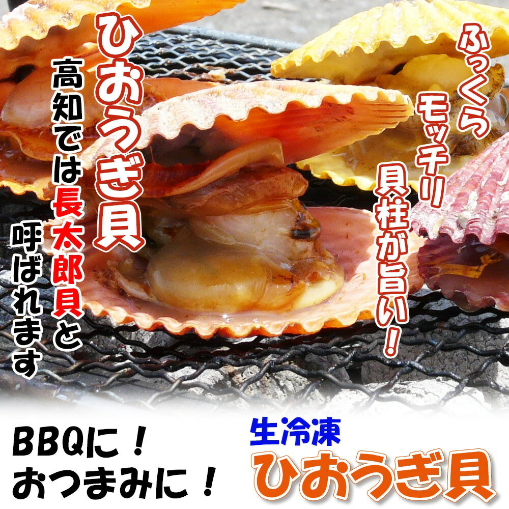 送料無料【ひおうぎ貝 10個】冷凍 キャンプ 調理 海鮮 バーベキュー キャンプ飯 長太郎貝 二枚貝 お取り寄せ グルメ ヒオウギ貝 ホタテの仲間 鍋 新鮮 濃厚 簡単 便利 買い置き 保存 高知 居酒屋 貝 興洋フリーズ