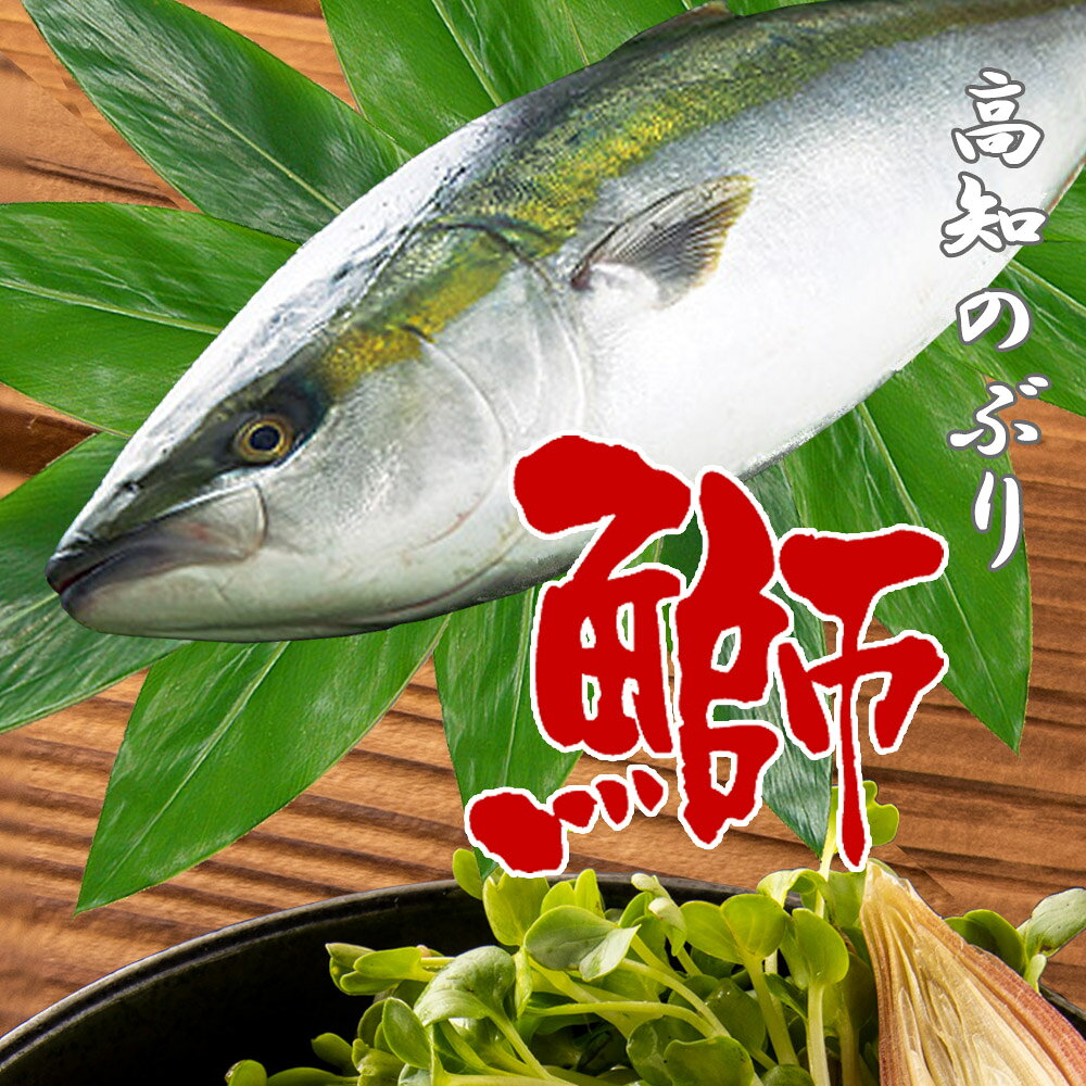 高知の海鮮問屋おさむの御中元 グルメ 海鮮ギフト ブリ 送料無料【ぶりの漬け丼の素 一人前 80g×5P】 冷凍 日本酒 ビール 焼酎 おつまみ 冷凍 食品 5食 小分け 御礼 お祝い 丼 国産 鰤 ぶり 海鮮 お取り寄せ グルメ 酒の肴 簡単 便利 手軽 保存食 自然解凍 海鮮丼 両親 贈答｜アングル3
