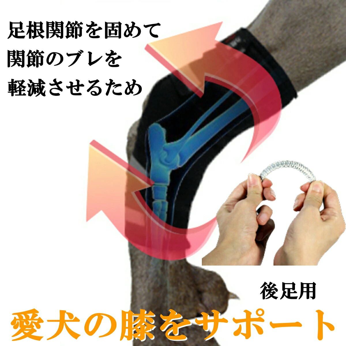 犬 後ろ足 サポーター 特殊バネ内蔵 両サイド 左右選択可 片足用 関節保護 歩行補...