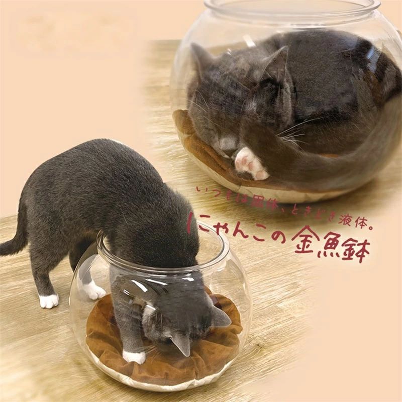 Bed - にゃんこの金魚鉢 猫 猫 金魚鉢子猫用金魚鉢 透明アクリル製猫保護カバー 水槽が見えるので猫を観察できます 傷防止 衝突防止 猫に安全