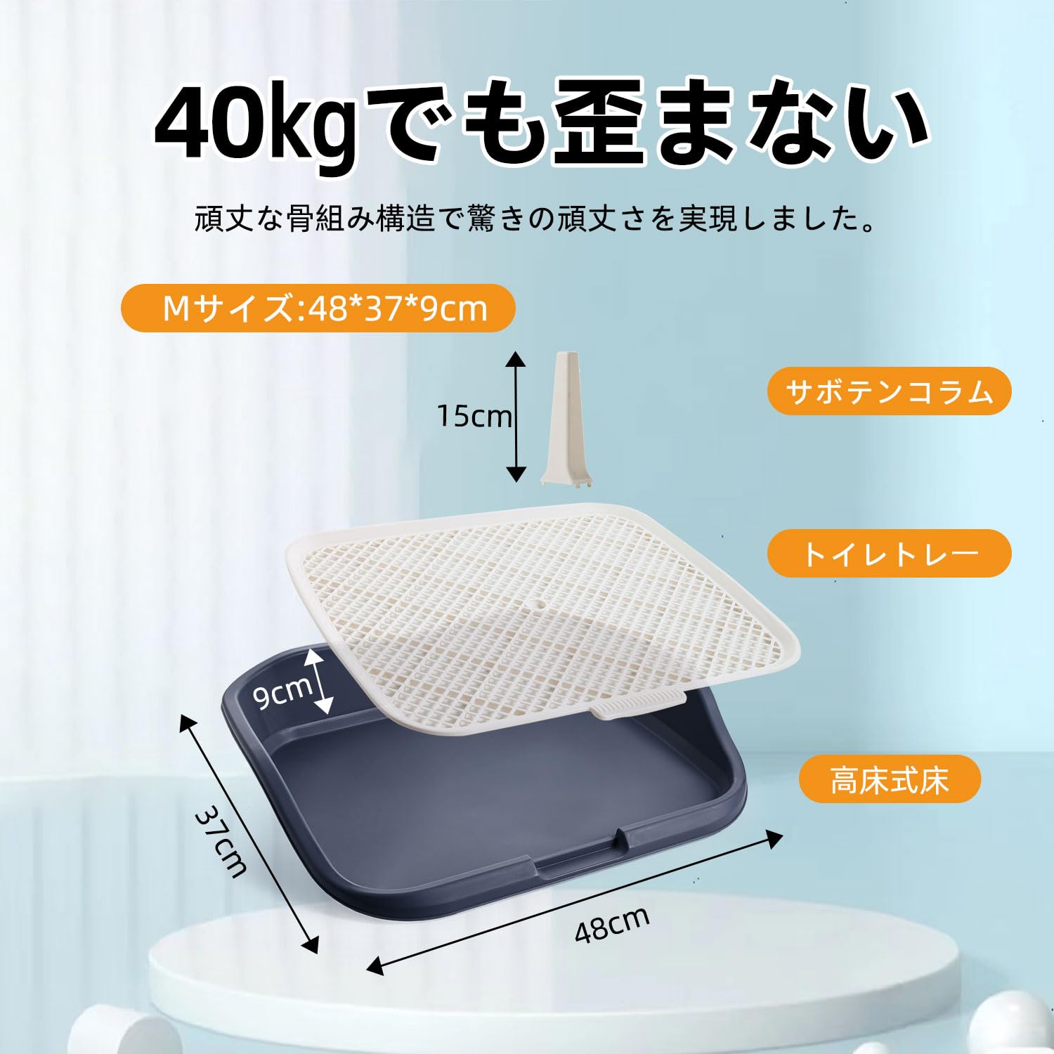 �� �ȥ���ȥ졼 �⾲�� �磻�� ������ �淿�� �緿���б� �磻�� �Ϥ߽Ф��ɻ� ����ķ���ɻ� ���ƥå� ���Ĥ� �ȥ���ȥ졼�˥� ­��