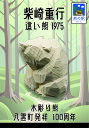熊つみ 柴崎重行 1975 這い熊 やまつみ やまつみ工房 ペーパークラフト ご当地スタンド付き(3)