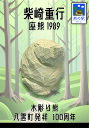 熊つみ 柴崎重行 1989 座熊 やまつみ やまつみ工房 ペーパークラフト ご当地スタンド付き