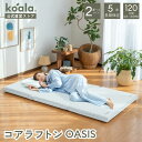 コアラ コアラフトン OASIS