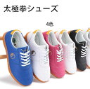 太極拳シューズ 太極拳用シューズ メッシュ トレーニングシューズ メンズ レディース スポーツシューズ 通気性 武術 拳法 柔らかい 軽量 ローカット 長持ち ...
