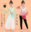 子供 古典ダンス衣装 ジュニア 女の子 古典舞踊ウェア トップス+パンツ+キャミソール セットアップ シースルーブラウス ダンスウェア ダンス練習着 団体服 演...