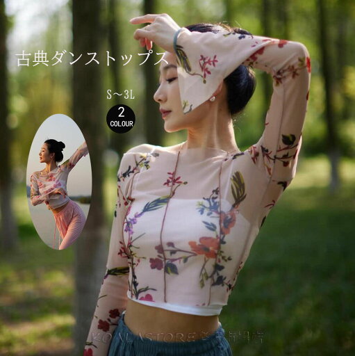 中華風古典ダンストップス シースルーブラウス レディースダンス衣装 長袖花柄Tシャツ 透明感 ダンス練習着 オーディション リラックスヨガ 舞台パフォーマンス 演出服 団体服 ダンス団体服 レッスン着 モダンバレエ/モダンダンス/古典ダンス/ヨガ/バレエダンス/社交ダンス 中華風古典ダンストップス シースルーブラウス レディースダンス衣装 長袖花柄Tシャツ 透明感 ダンス練習着 オーディション リラックスヨガ 舞台パフォーマンス 演出服 団体服 ダンス団体服 レッスン着 モダンバレエ/モダンダンス/古典ダンス/ヨガ/バレエダンス/社交ダンス