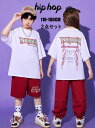 キッズダンス衣装 jazz hiphop 半袖Tシャツ 長ズボン 短パンツ キッズジャッズ ヒップホップ 男の子 女の子 子供服 上下2点セット ダンスセットアップ K-POP ストリート レッスンダンスウェア イベント 発表会 応援団 ステージ舞台演出服 練習着 チーム衣装 おしゃれ団体服