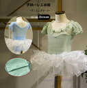 可愛いキッズダンスレオタード 子供バレエレオタード 半袖ドレス 2点セット 女の子バレエウェア キッズ チュチュスカート ダンス稽古 新体操 バレエレッスン着 ...