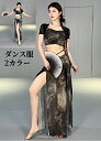 レディースダンス服 ベリーダンス服 ダンス 上下セット 半袖 へそ出し チャイナ風 竹葉柄 プリント 水墨風 安全パンツ付き ロングスカート 社交ダンス セクシ...