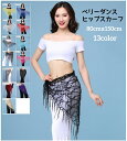 ベリーダンス衣装 ヒップスカーフ スパンコール フリンジ付き ボトムス レディース 大人用 透け感 セクシー 腰巻き ダンスウェア 初心者 ステージ衣装 舞台衣...