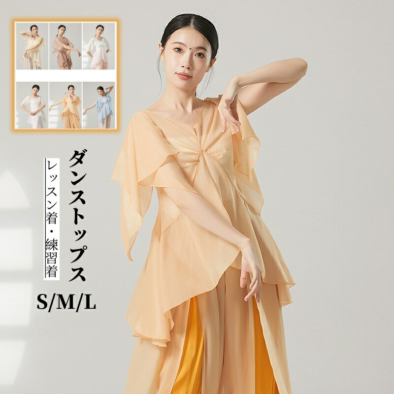 レディース　古典ダンス衣装 ダンストップス Vネック フリル シースルートップス 薄紗 透け感 中華風 社交ダンス ダンスウェア 女性 大人用 バレエ モダンダンス ダンスブラウス 練習着 レッスン着 団体服 ダンススタジオ ダンス教室 舞踊教師ウェア 6色 エレガント