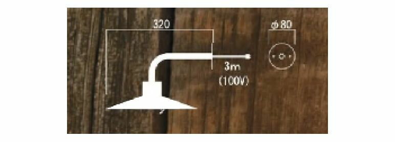 �ե��쥹�ȥҥ륺�����ǥ�饤��