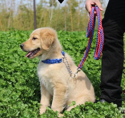 大型犬用ハーフチョーク&リードセット L