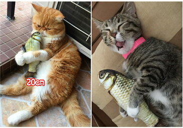 魚 ぬいぐるみ リアルなあなたを応援するサイト 魚 ぬいぐるみ リアルなあなたを応援するサイト