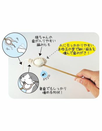 �ڥåĥ롼�ȡ��ޤ���ߤ������ƥ��å���ǭ�Ѥ������