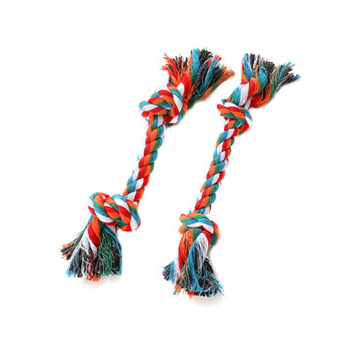 ��1000�߰ʾ�����Ը���ۥ����פ������L���������ǥ󥿥�ȥ�������緿��