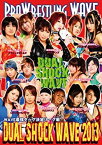 【中古】(非常に良い)プロレスリングWAVE DUAL SHOCK WAVE 2013 [DVD]